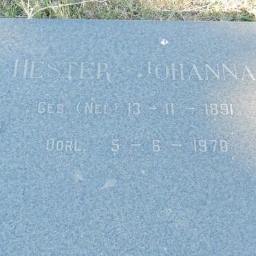 BOSCH Hester Johanna nee NEL 1891-1970