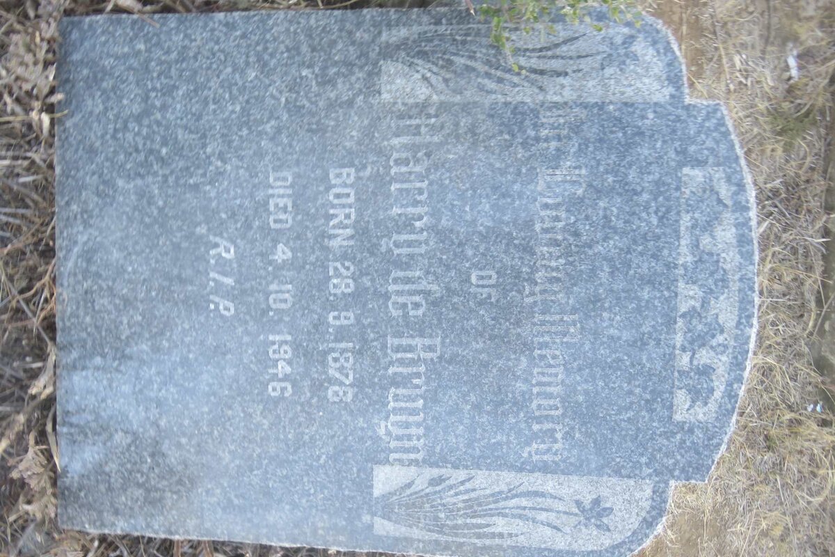 BRUYN Harry, de 1878-1946