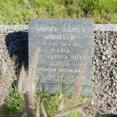 GROBBELAAR Andries Jacobus 1883-1949 &amp; Maria Catharina Buys Bosch GROBBELAAR 1908-2001