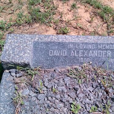 McINTOSH David Alexander 1900-1956