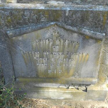 MOOLMAN Wessel Hendrik 1875-1940