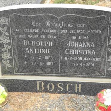BOSCH Rudolph Antonie 1903-1982 &amp; Johanna Christina MAARTENS 1909-2001