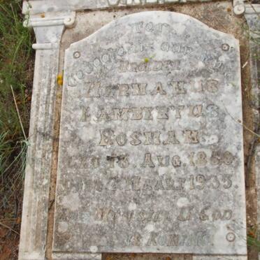 BOSMAN Hermanus Lambertus 1850-1935