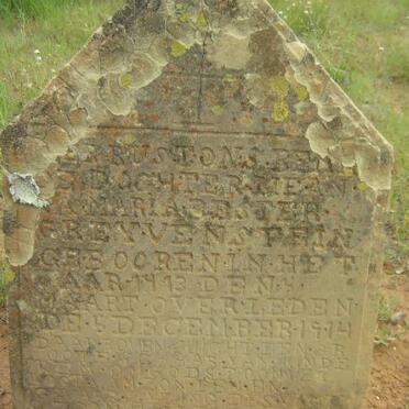 GREYVENSTEIN Maria Bester 1913-1914