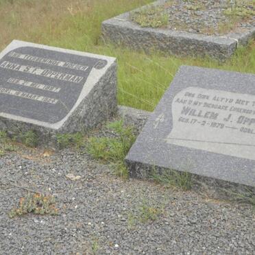 O - Surnames :: Vanne - O