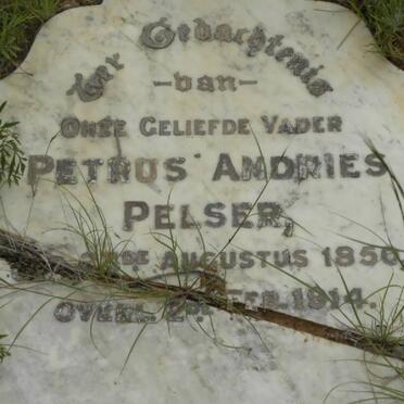 PELSER Petrus Andries 1850-1914