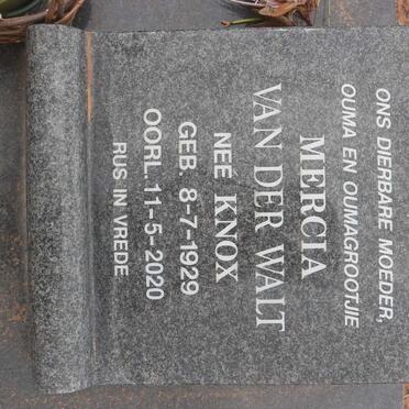 WALT Mercia, van der nee KNOX 1929-2020