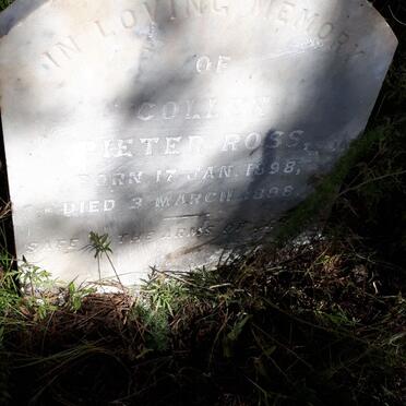 ROSS Collen Pieter 1898-1898