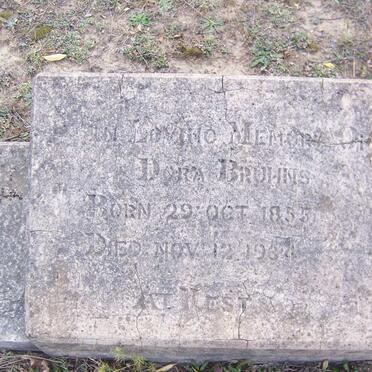 BRUHNS Dora 1855-1934