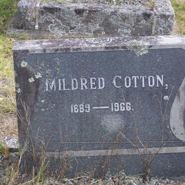 COTTON Mildred 1889-1966