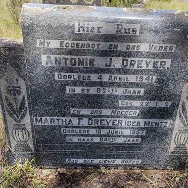 D - Vanne :: Surnames - D