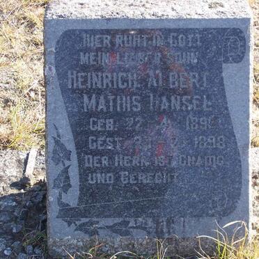 HANSEL Heinrich Albert Mathis 1895-1898