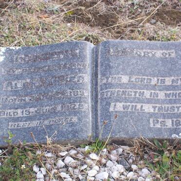 MEYER Alex 1889-1928