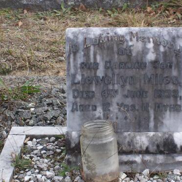 MILES Llewellyn -1933