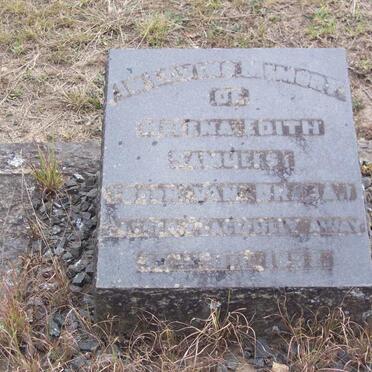 SAMUELS Helena Edith nee VAN BREDA -1952