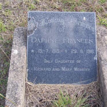 WEBSTER Daphne Frances 1915-1916