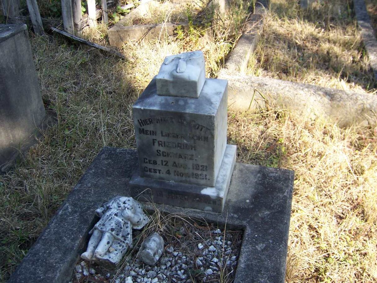 SCHWARZ Friedrich 1921-1921