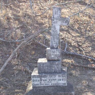 BAISLEY William Andrew 1896-1897