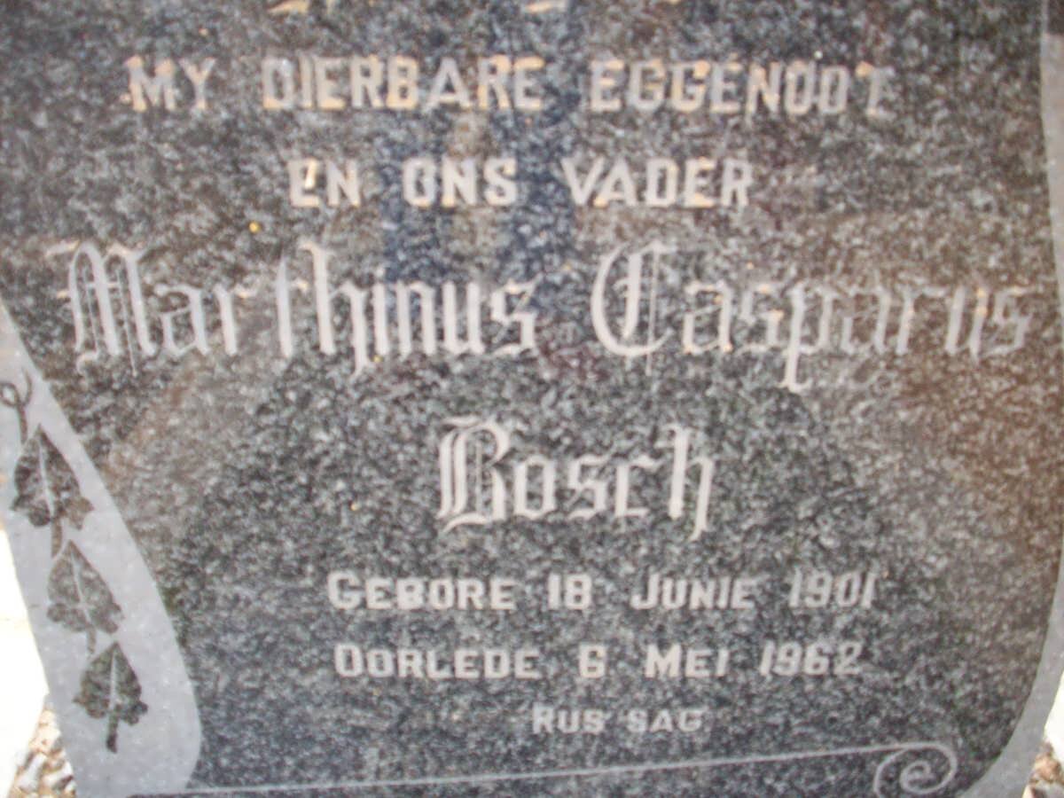 BOSCH Marthinus Casparus 1901-1962