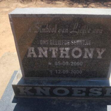 KNOESEN Anthony 2000-2000