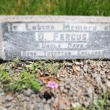 FERGUS D.