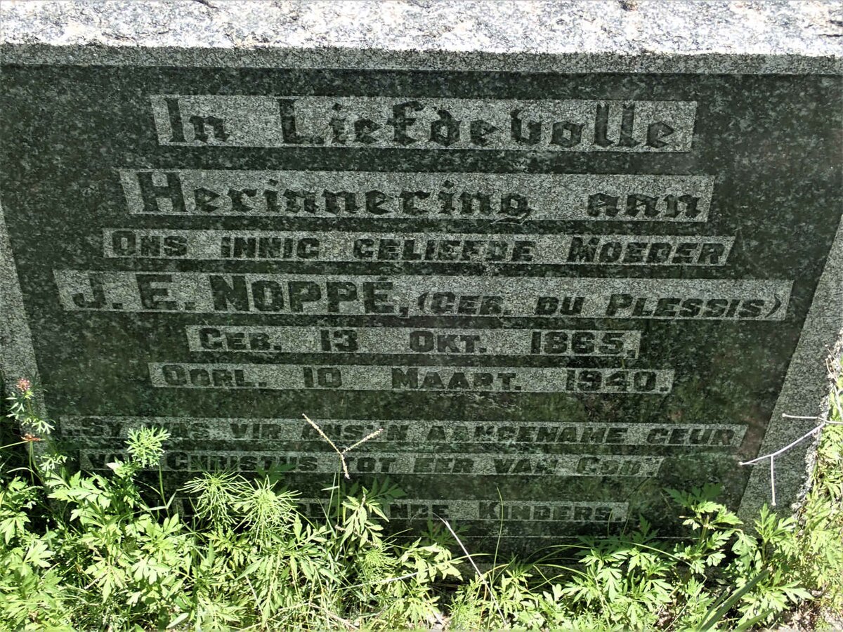 NOPPE J.E. nee DU PLESSIS 1865-1940