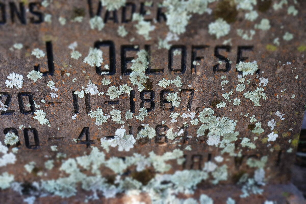 OELOFSE Andries J. 1887-1964 &amp;  Christina W. BOTHA 1870-1943