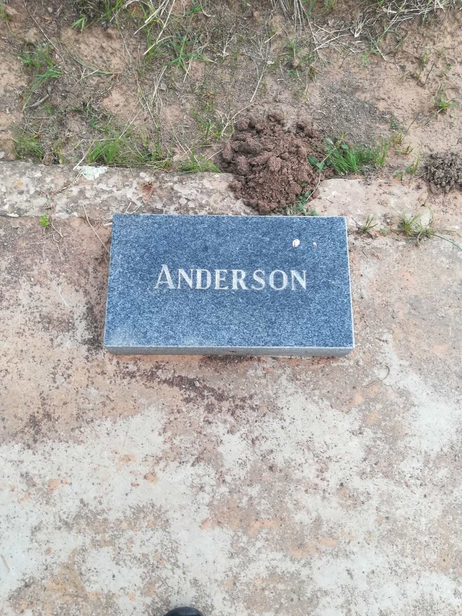 ANDERSON