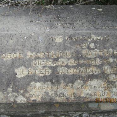 HATTINGH George Marthinus 1849-1887