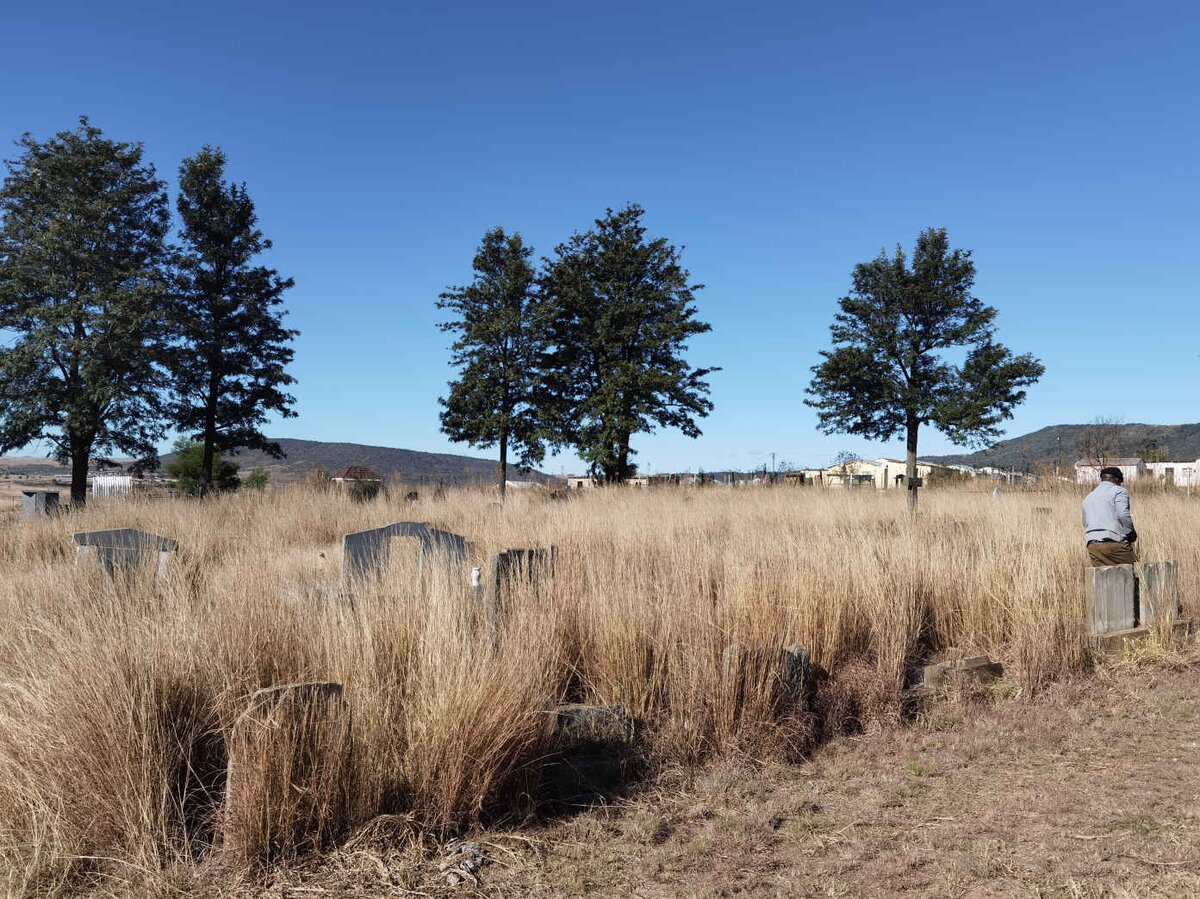 2. Overview / Oorsig