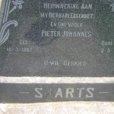 SWARTS Pieter Johannes 1907-1951