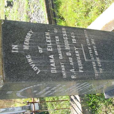 HODGSON Diana Eileen -1945