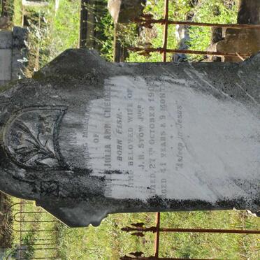 STOW Kate Julia Ann formerly CHEDZEY née FISH 1864-1905