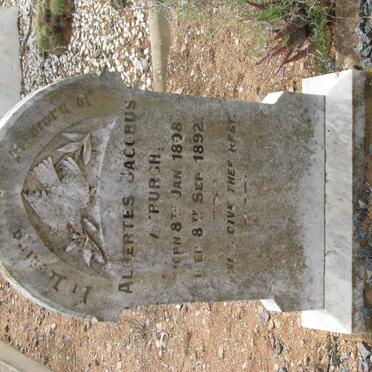 MYBURGH Albertus Jacobus 1808-1892