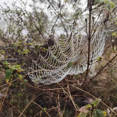 5. Overview / Oorsig