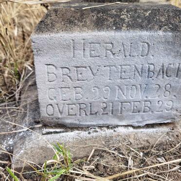 BREYTENBACH Herald 1928-1929