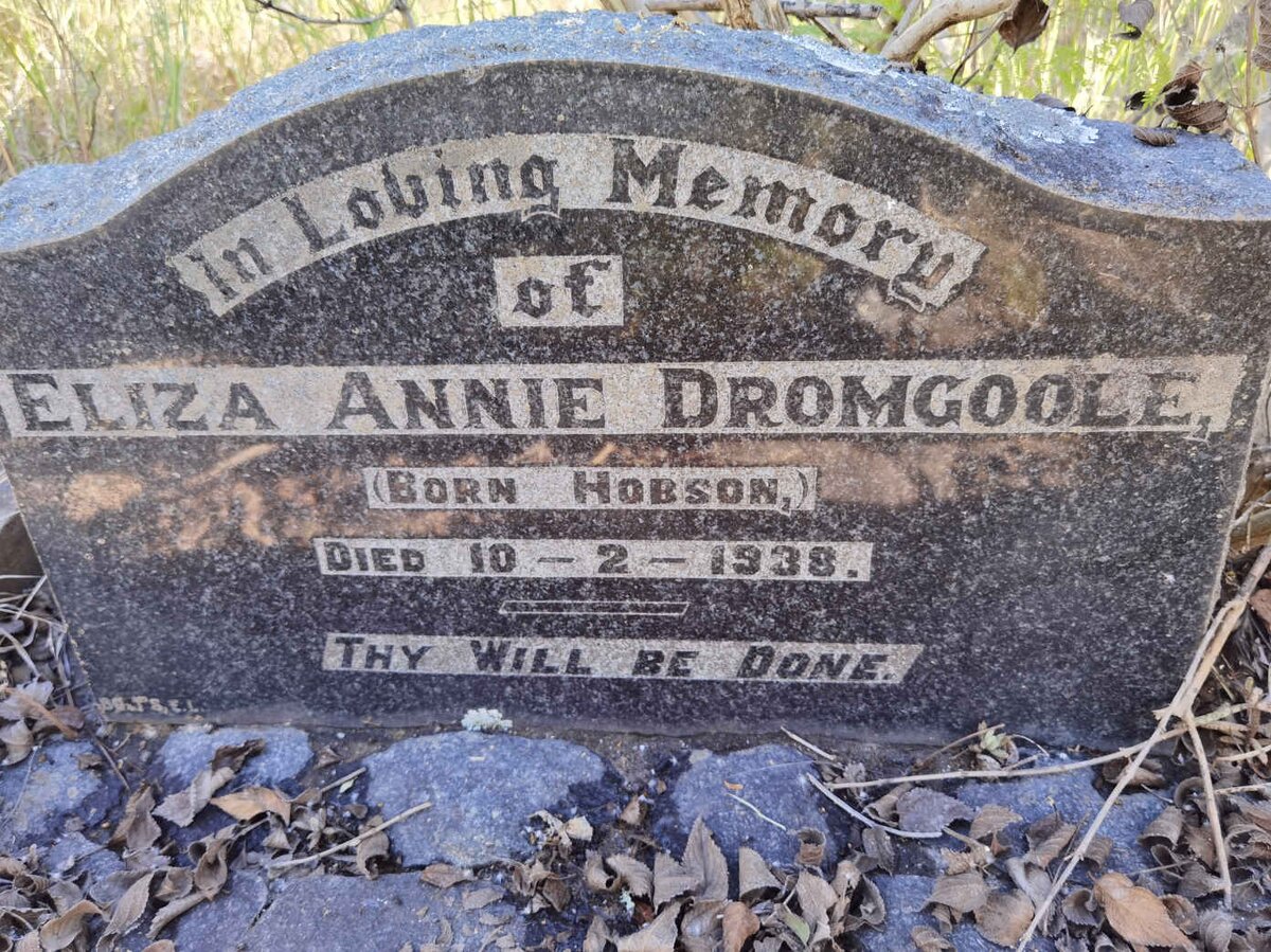 DROMGOOLE Eliza Annie nee HOBSON -1938