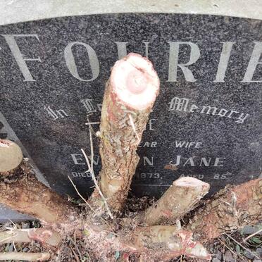 FOURIE Ev???n Jane -1973