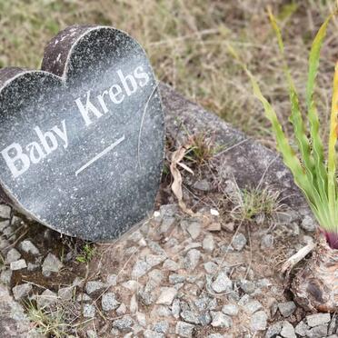 K - Surnames :: Vanne - K