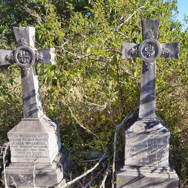 McCARTER William Michael Adair -1914 &amp; Charlotte McCABE -1911