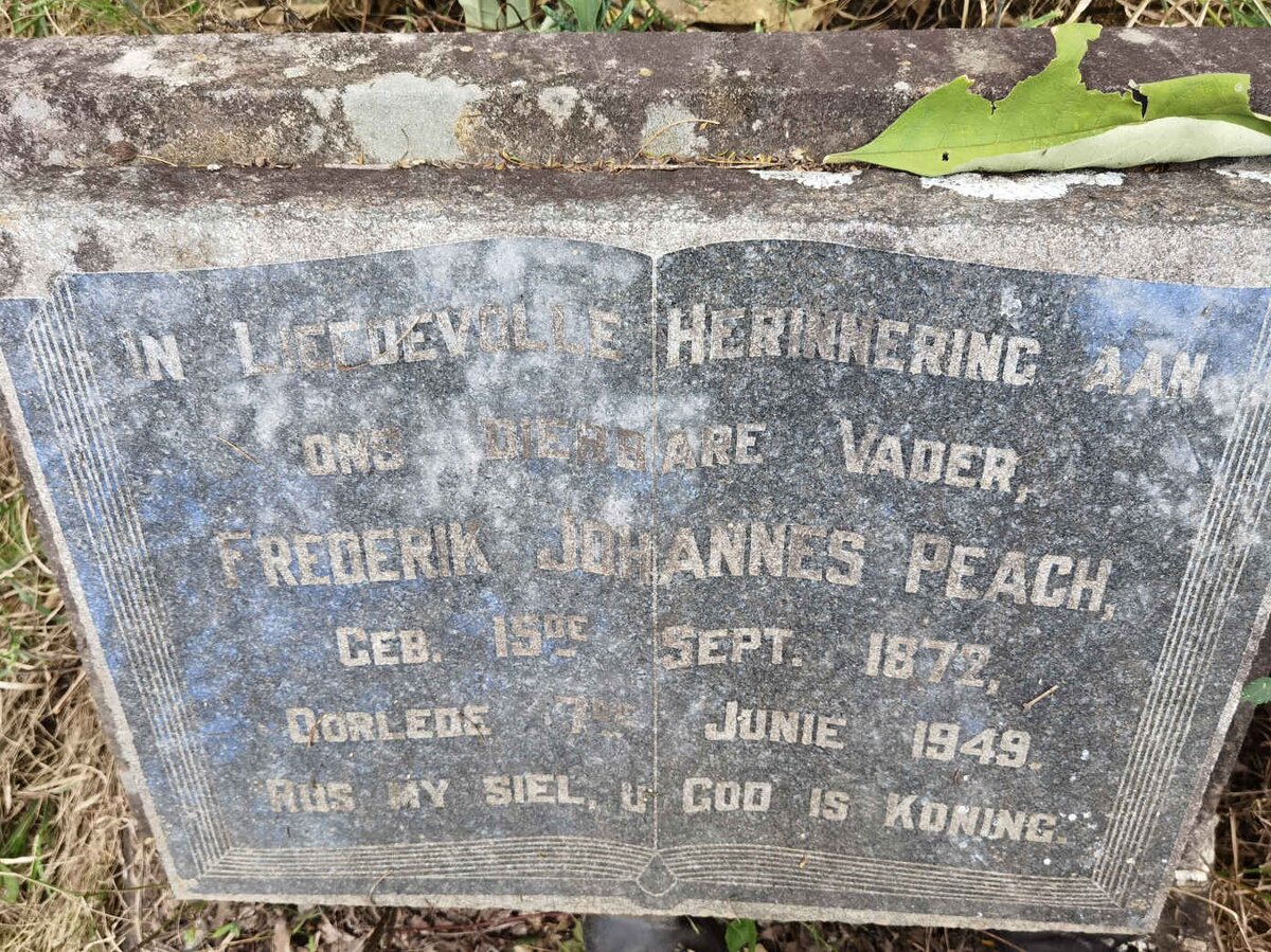 PEACH Frederik Johannes 1872-1949