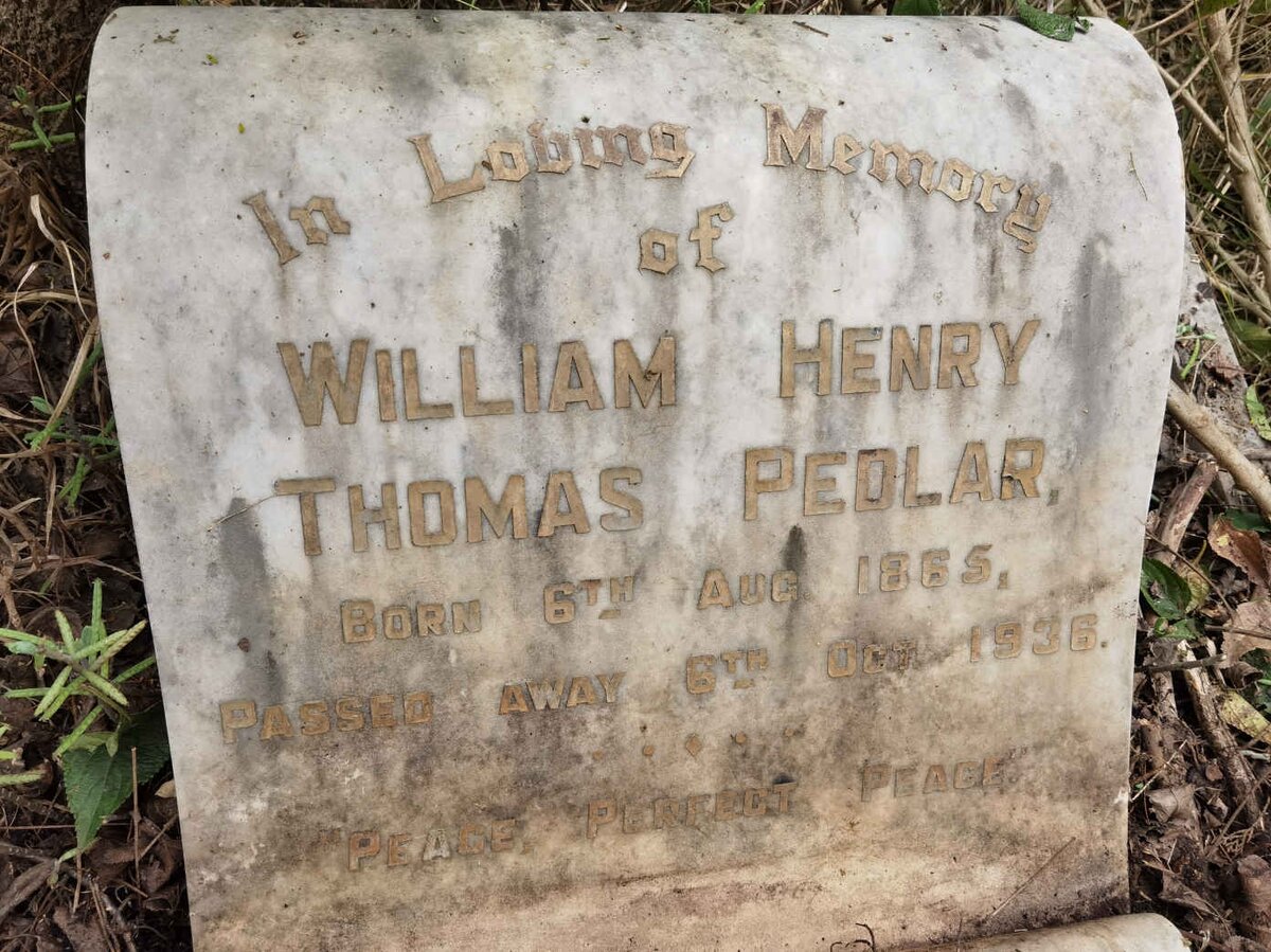 PEDLAR William Henry Thomas 1865-1936