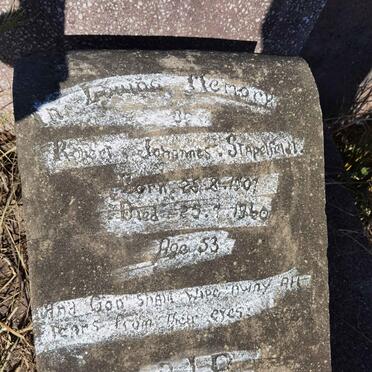 STAPELFELDT Robert Johannes -1960