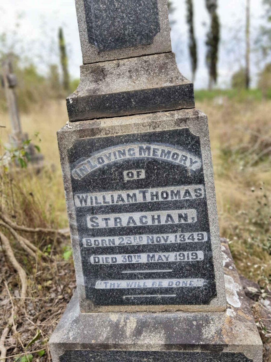 STRACHAN William Thomas 1849-1919