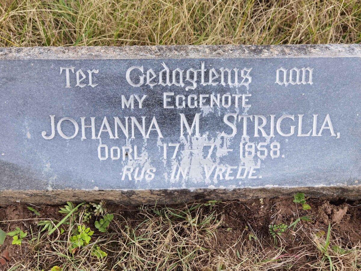 STRIGLIA Johanna M. -1958