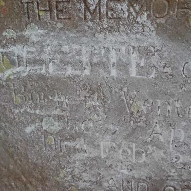 TOIT Violette, du 1880-1882