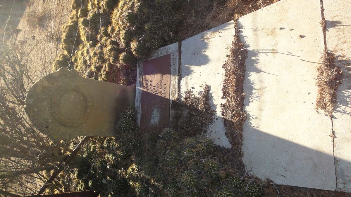 4. Overview / Oorsig KRUGER graf