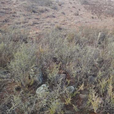 Eastern Cape, VENTERSTAD district, Rhenosterkop 106, farm cemetery_1