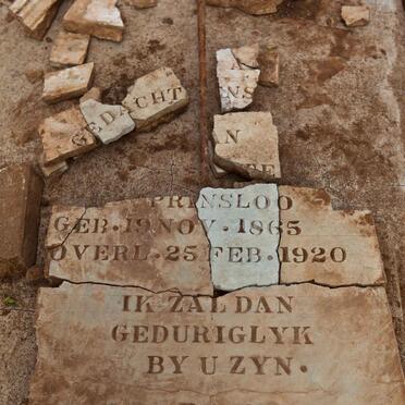 Eastern Cape, VENTERSTAD district, Rooster Hoek 113, farm cemetery_2