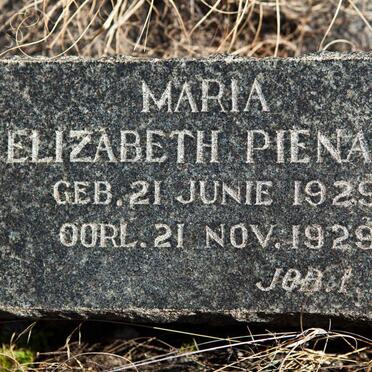 Eastern Cape, VENTERSTAD district, Rooster Hoek 113, farm cemetery_1